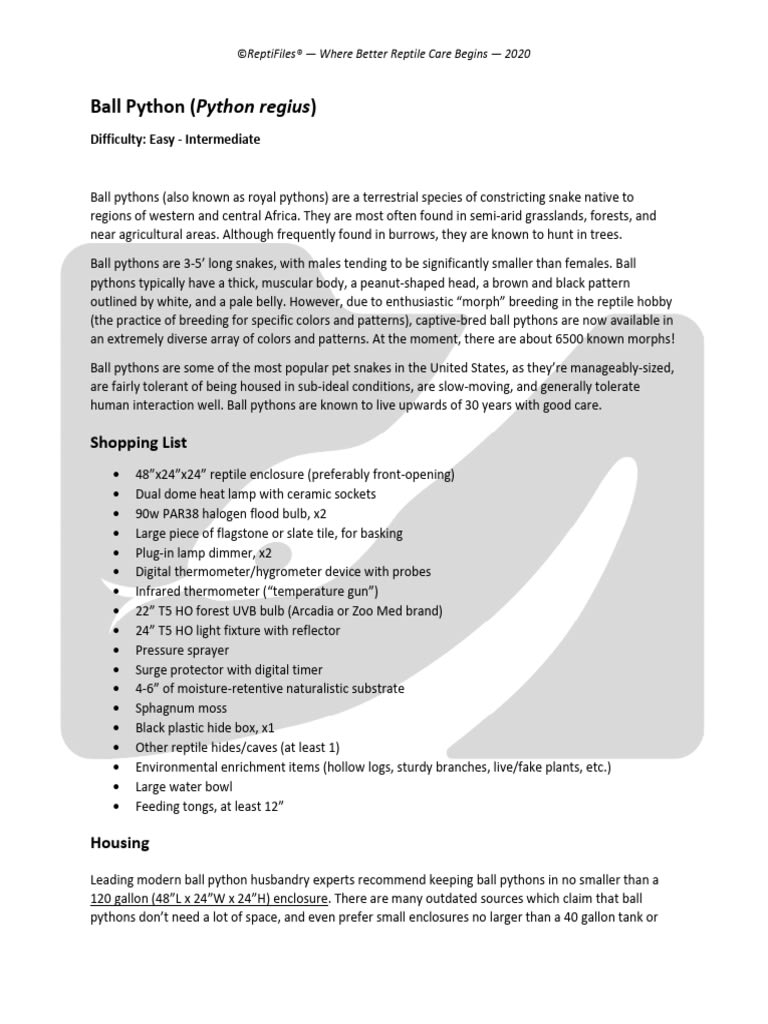 Ball Python Care Sheet PDF 1 | Download Free PDF | Thermoregulation ...