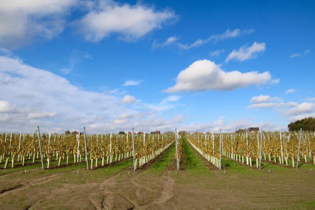 Les Hauts de Corbie - Lekker Oost-Vlaams