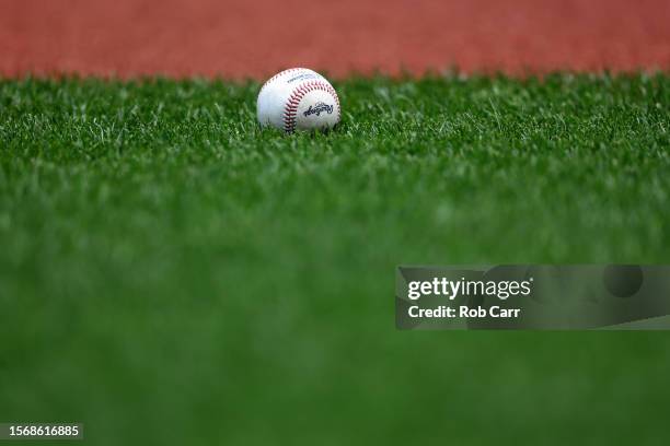 439,960 Washington Park Baseball Stock Photos, High-Res Pictures, and ...