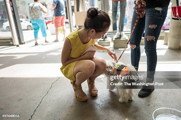 Lindy Li Congress Photos and Premium High Res Pictures - Getty Images