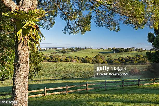 Dural New South Wales Photos and Premium High Res Pictures - Getty Images