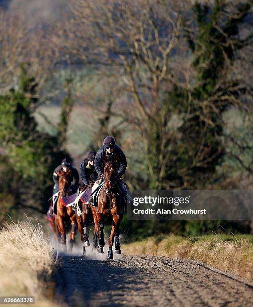 Alan Gifford Photos and Premium High Res Pictures - Getty Images