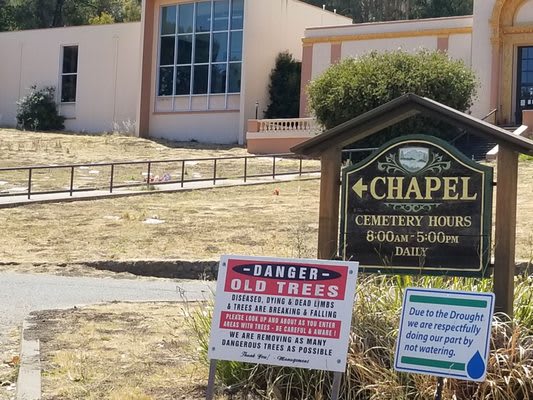 MOUNT TAMALPAIS MORTUARY AND CEMETERY - Updated February 2025 - 19 ...