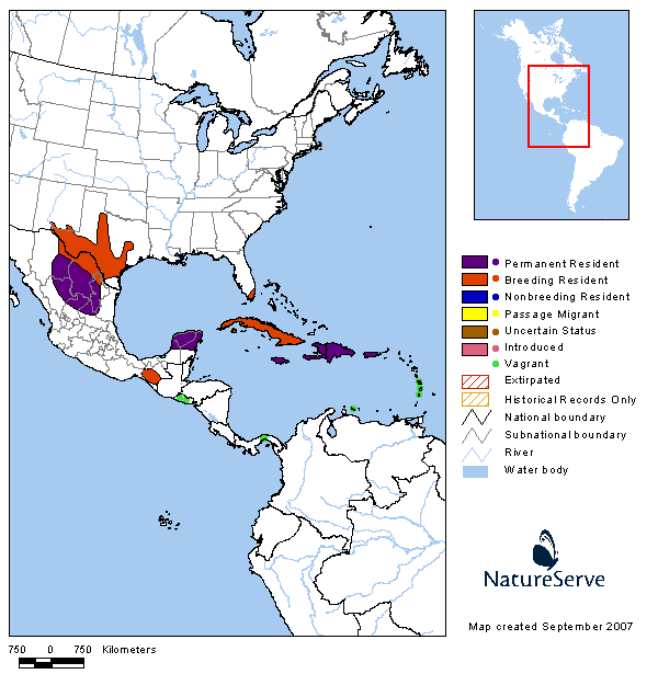 Americas Range Map - Cave Swallow | BirdPhotos.com