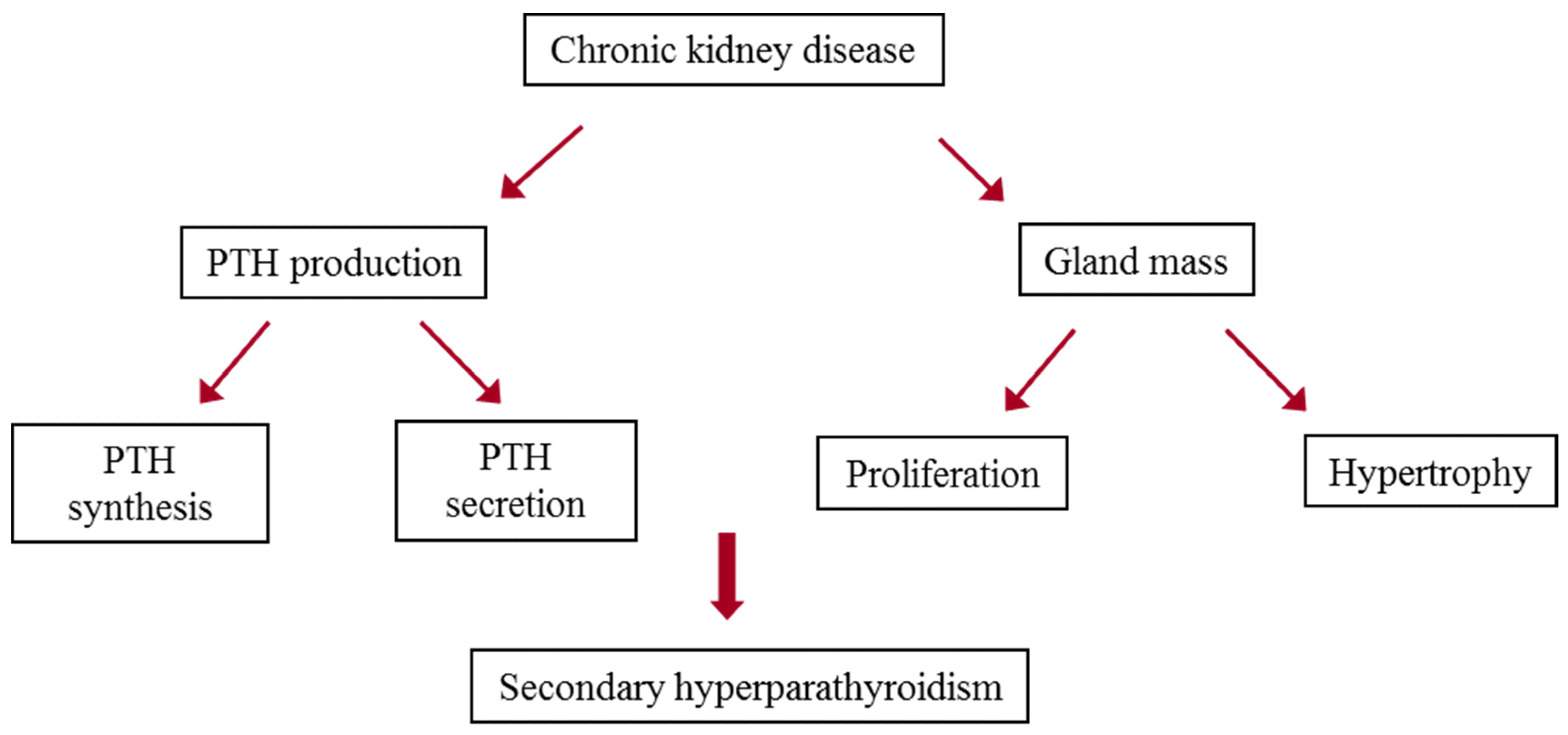 Secondary Hyperparathyroidism In Ckd