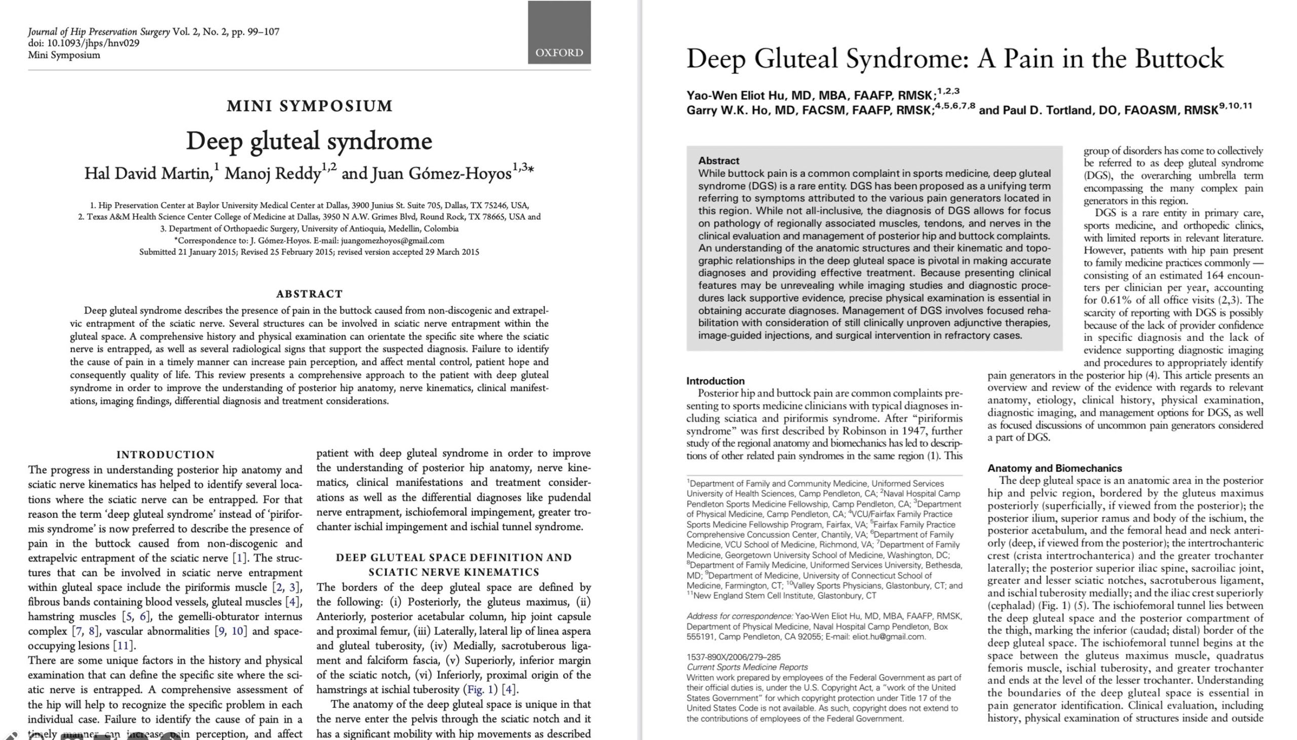 Navigating The Complex Path Of Deep Gluteal Syndrome: A Case Study ...