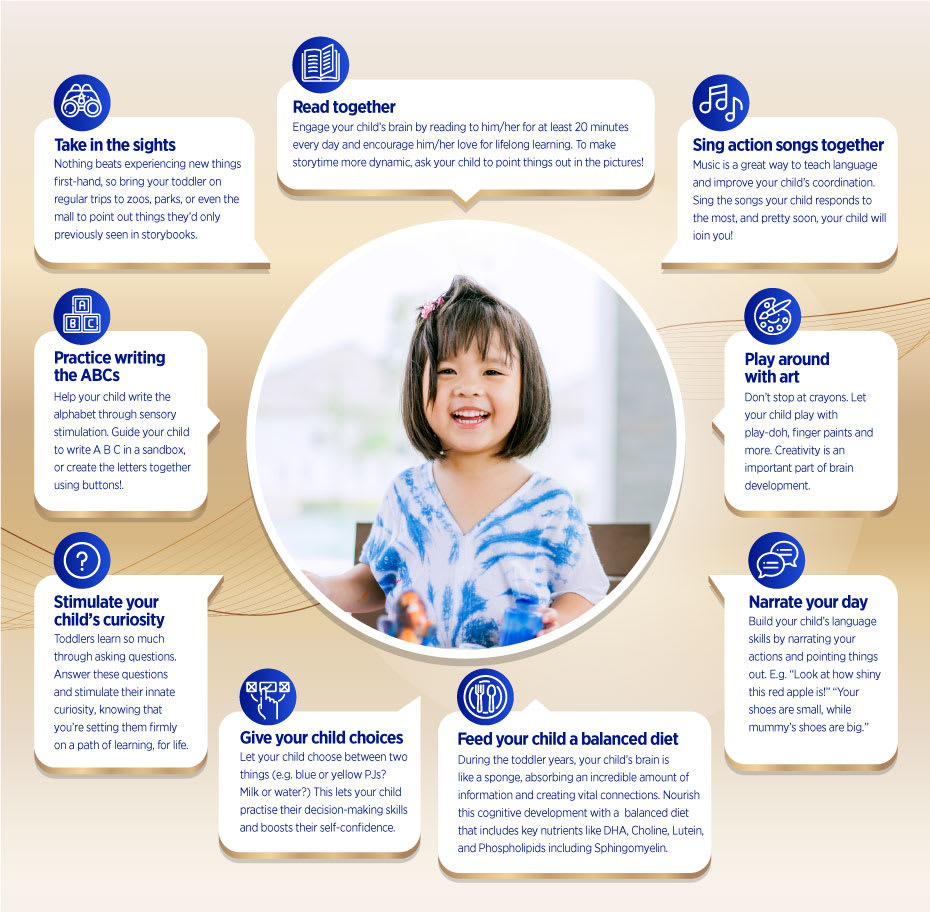 9 Ways to Boost Toddler Brain Development | Wyeth Nutrition SG