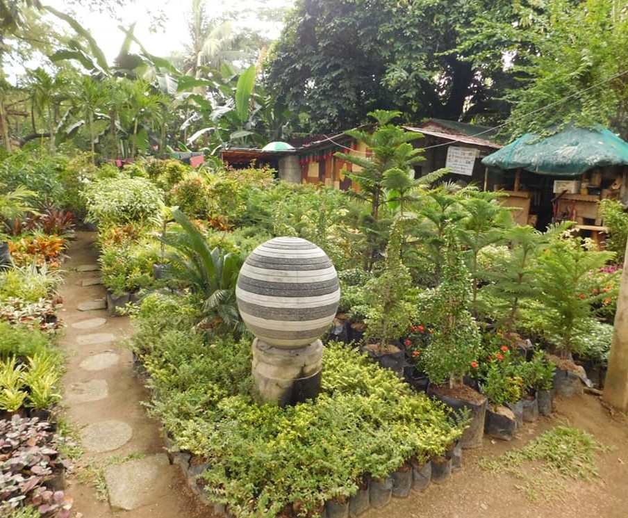 Aquarius Garden landscape