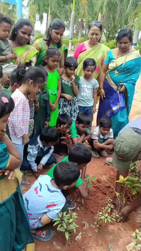 World Environment Day Celebration