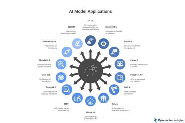 AI Model Application