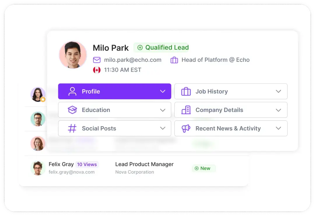 Lead Profile Example