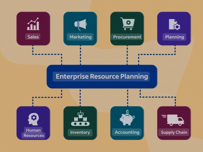 Factors of ERP