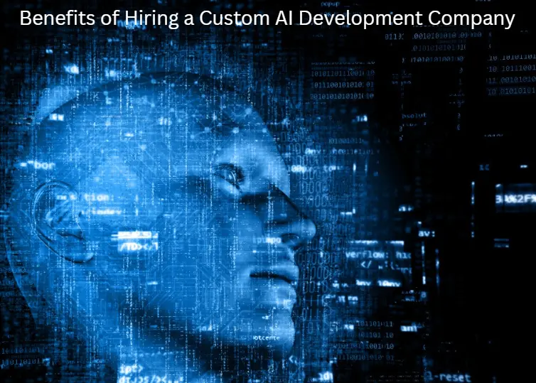  Hiring custom Company  
