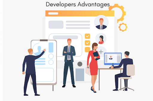 Developers Advantages