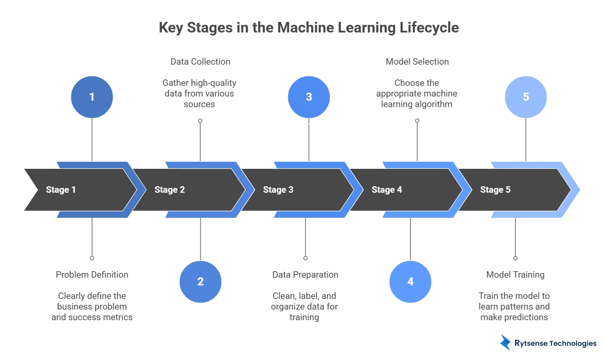 Key Techniques Used During Model Training