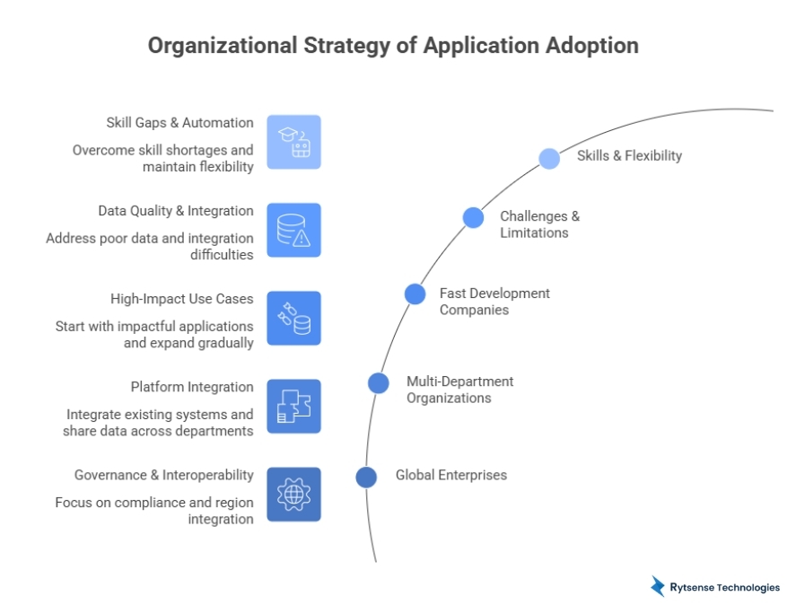 Organizational Strategy of Application