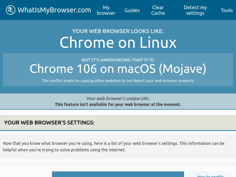 What is My Browser Results via Proxy