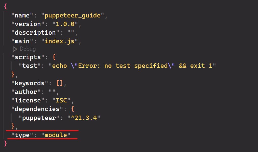 NodeJs Puppeteer Guide: Package JSON File