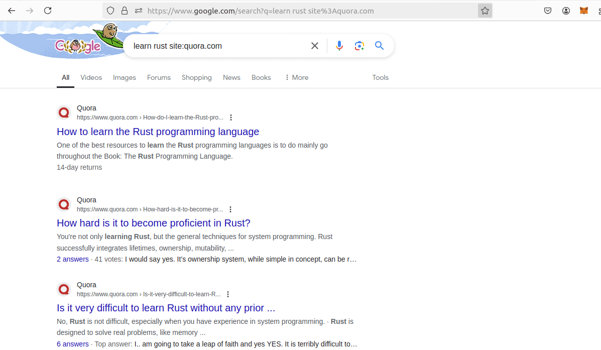 Google Search Results Page