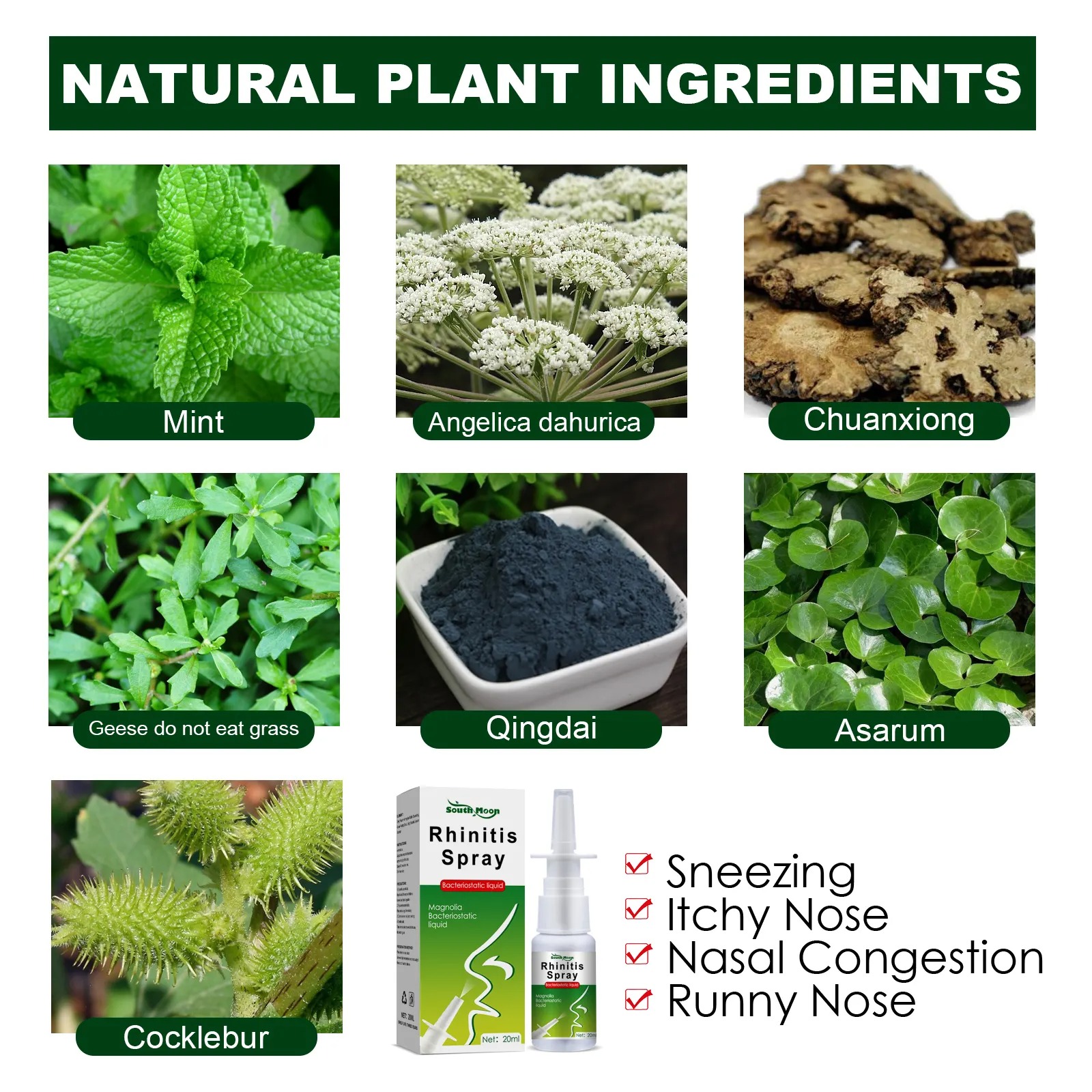 Spray Treatment Of Rhinitis