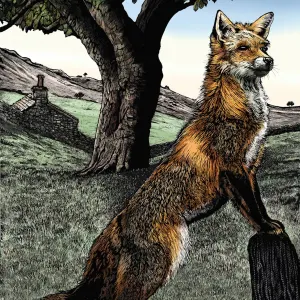 Illustration of a fox, perching on a log, looking off in the distance, beneath a large tree.. Illustration by Jerry Hoare, Nature, Whimsical,