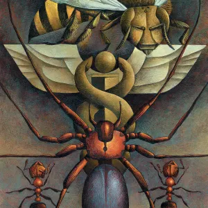 Illustration of bees, ants, and a spider with a medical symbol, caduceus.. Illustration by Sara Tyson, Nature, Conceptual,