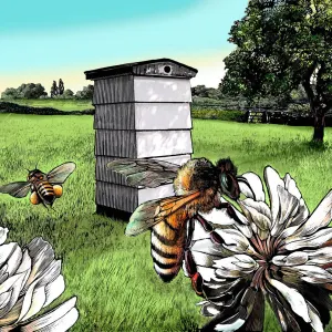 Landscape illustration of a a bee on a flower in front of a bee hive. Illustration by Jerry Hoare, Nature,