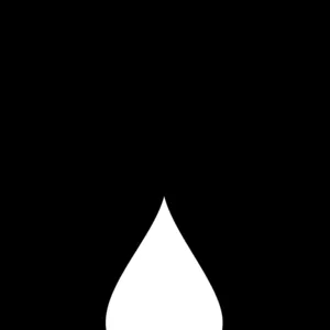 Animation of a waterdrop turning into a seed, sprouting into a flower that is picked by someone.. Illustration by Giulio Bonasera, animation & motion, Nature,