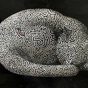 Illustration of a sleeping cat that is made out of a maze, and in the center is the silhouette of a man in red.. Illustration by Ofra Amit, Whimsical, Fantasy, 