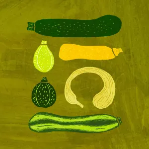 Whimsical illustration of a group of different shaped squash and zucchini. Illustration by Shirley Marion, Decorative, Whimsical, Food & Beverage, 