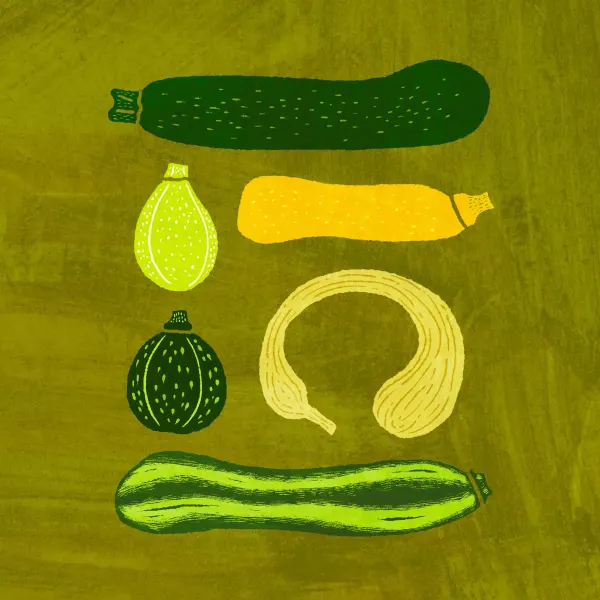 Whimsical illustration of a group of different shaped squash and zucchini
