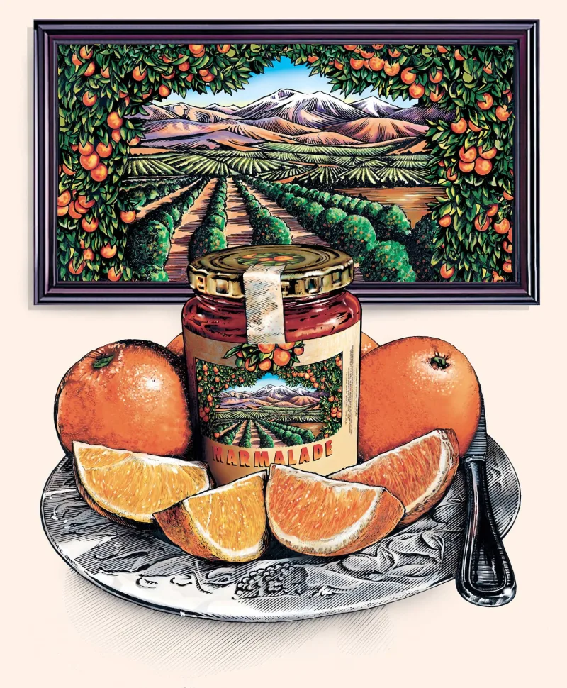 Illustration of a jar of marmalade, surrounded by sliced oranges, and in the background a framed image of an orange grove. Illustration by Jerry Hoare, Nature, Food & Beverage,
