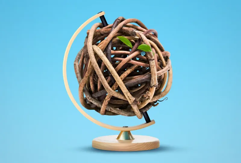 Photocollage of a globe that is made out of wrapped tree branches. Illustration by Mariaelena Caputi, Conceptual, Whimsical, 