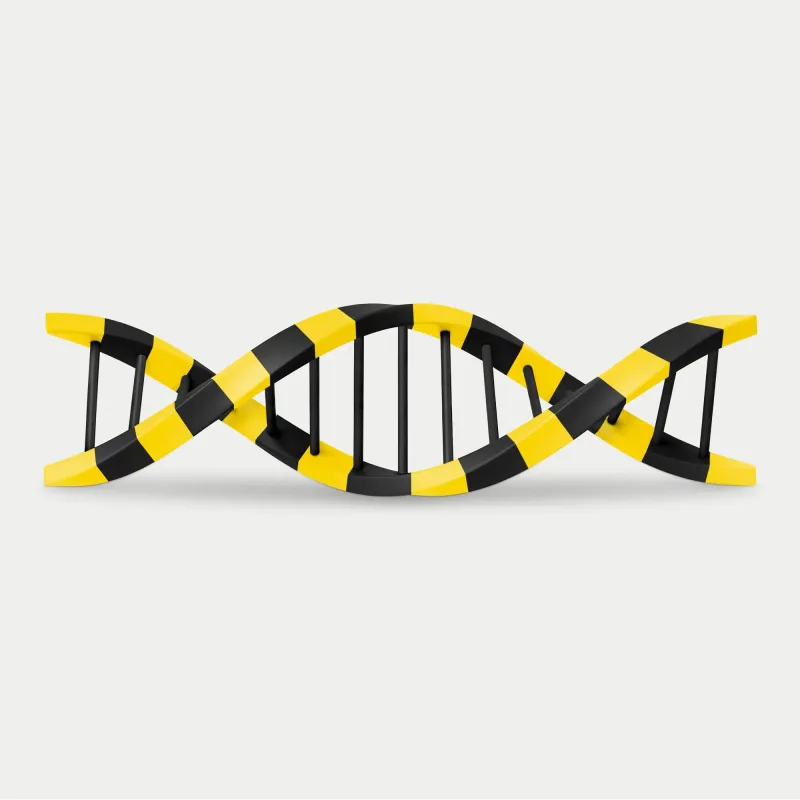 Illustration of a segment of DNA thread that is colored in yellow and black stripes.. Illustration by Mariaelena Caputi, Conceptual, 