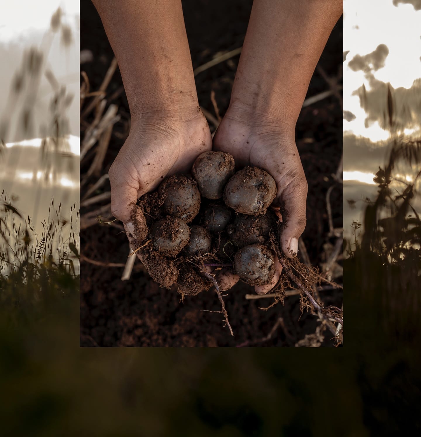 Farm-to-table dining in the Sacred Valley