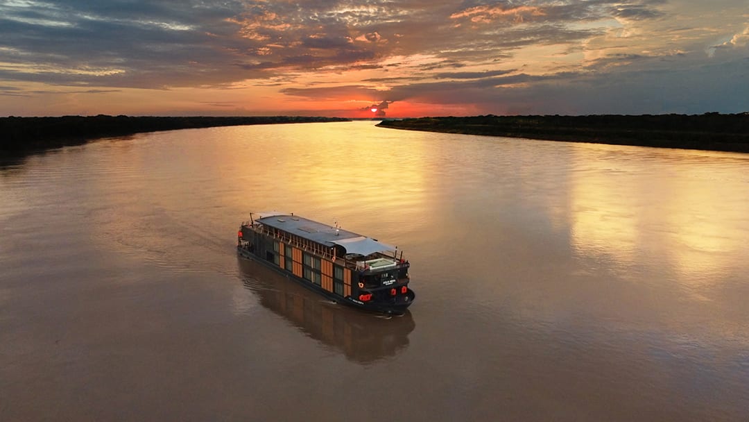 Amazon rainforest canopy at dawn, Iquitos