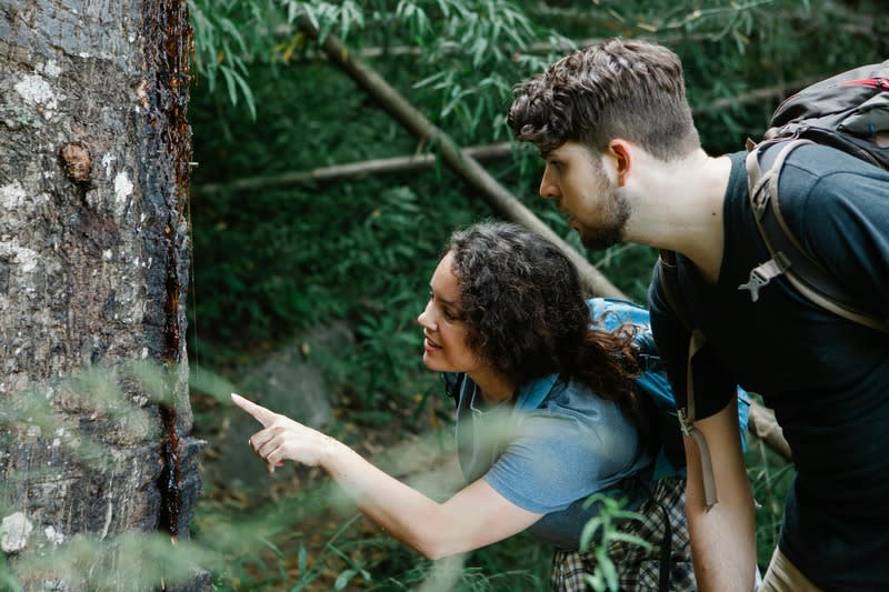 Birdwatching in the Peruvian cloud forest