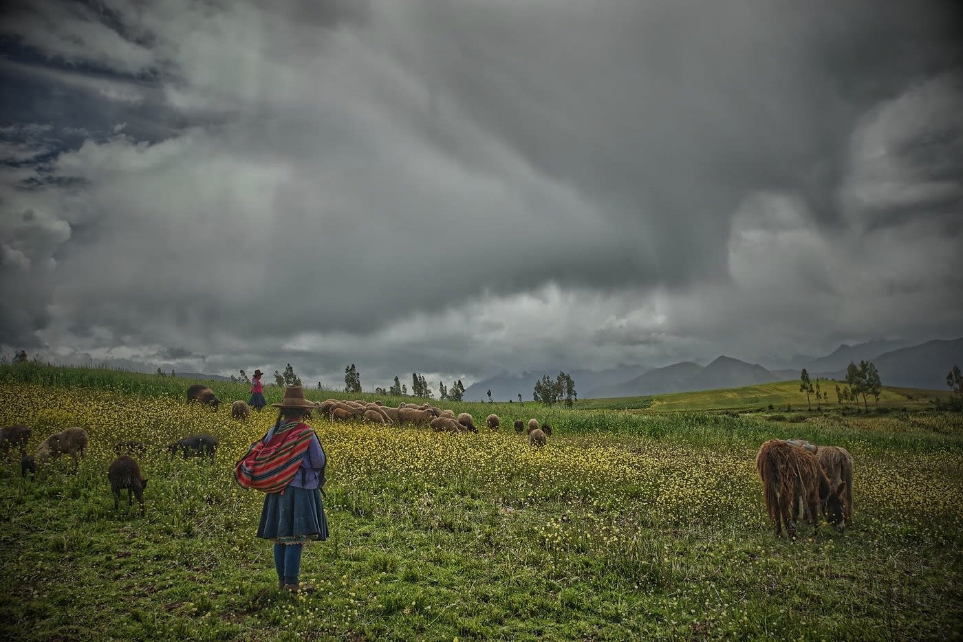 A traveler in traditional Andean dress overlooking the Peruvian highlands