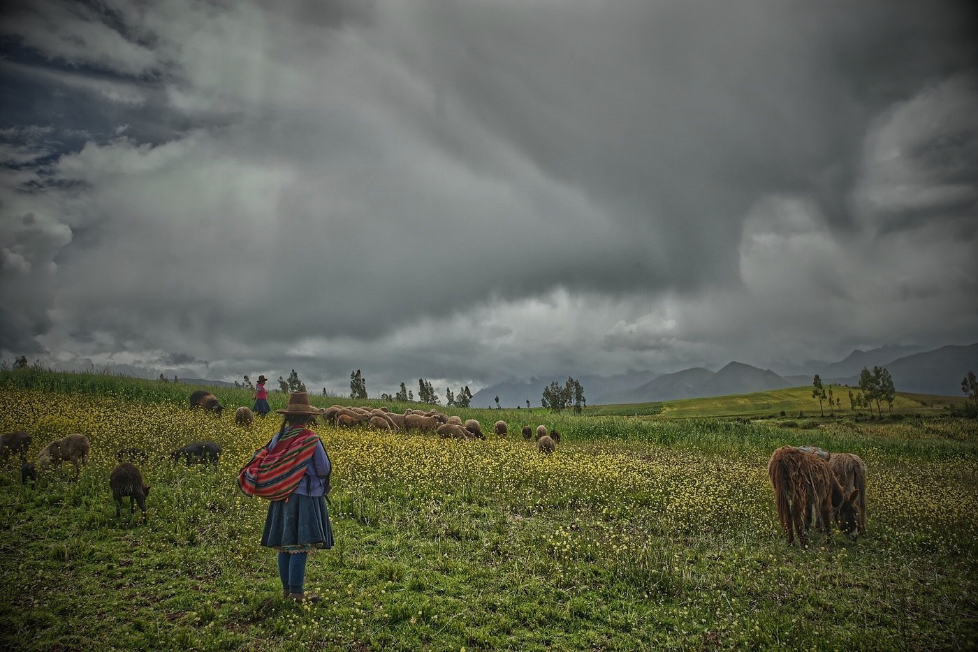 A traveler in traditional Andean dress overlooking the Peruvian highlands
