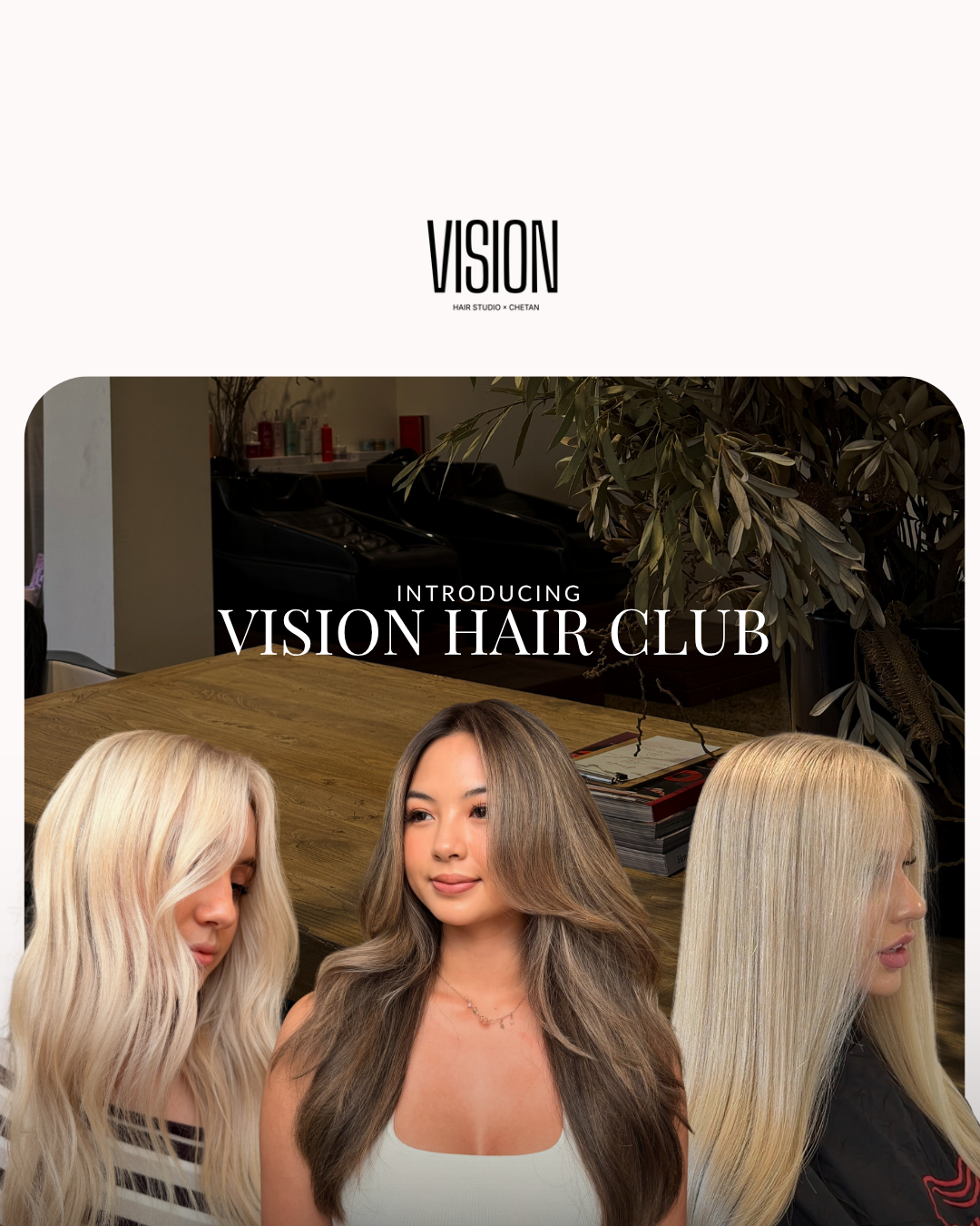 Vision Hair