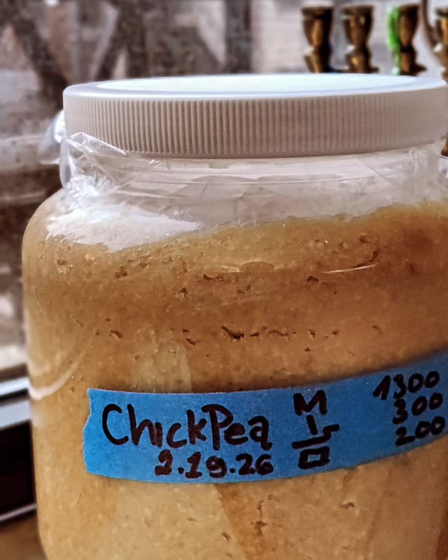 Chickpea miso