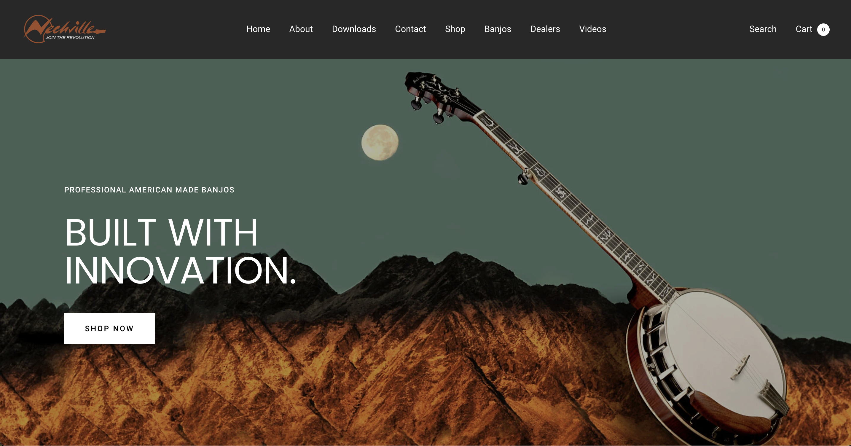 Screenshot of the Nechville website homepage hero section