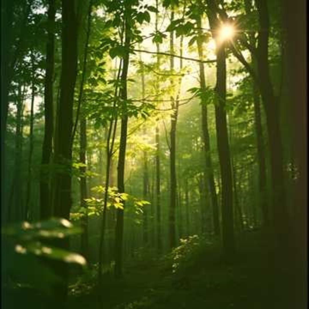 Echoes of Our Shared Heart — loving