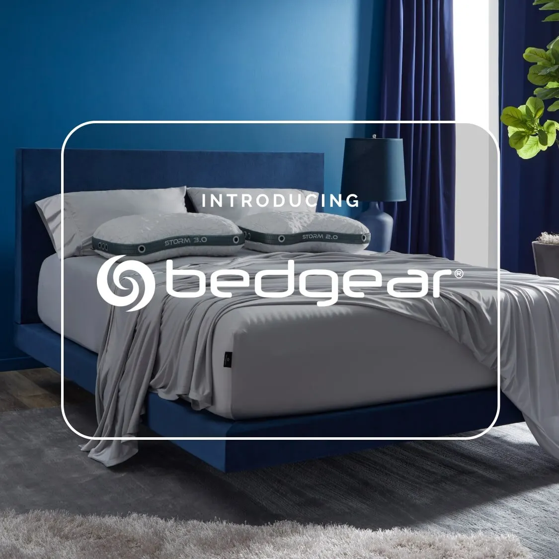 Introducing Bedgear