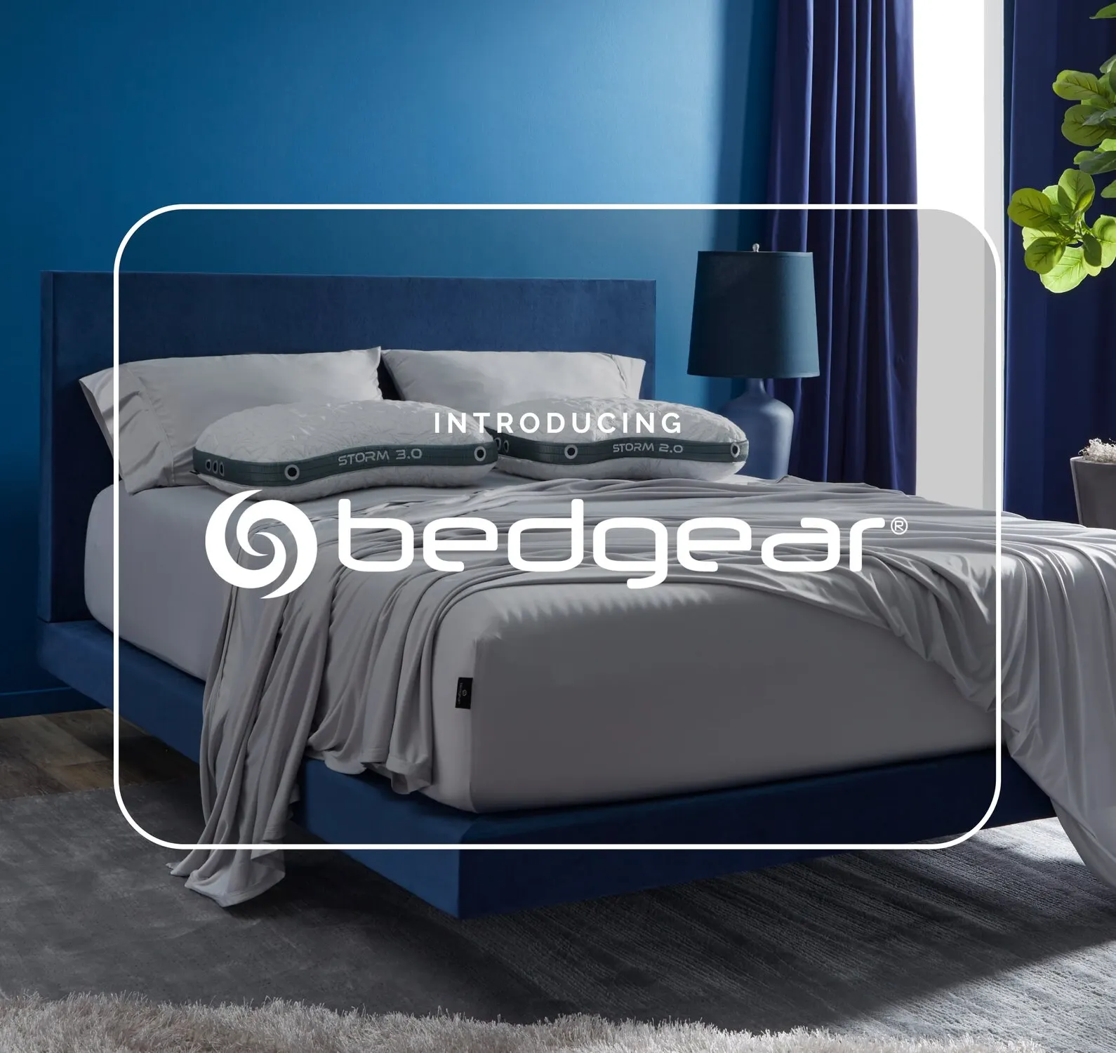 Introducing Bedgear