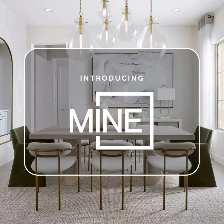 Introducing MINE