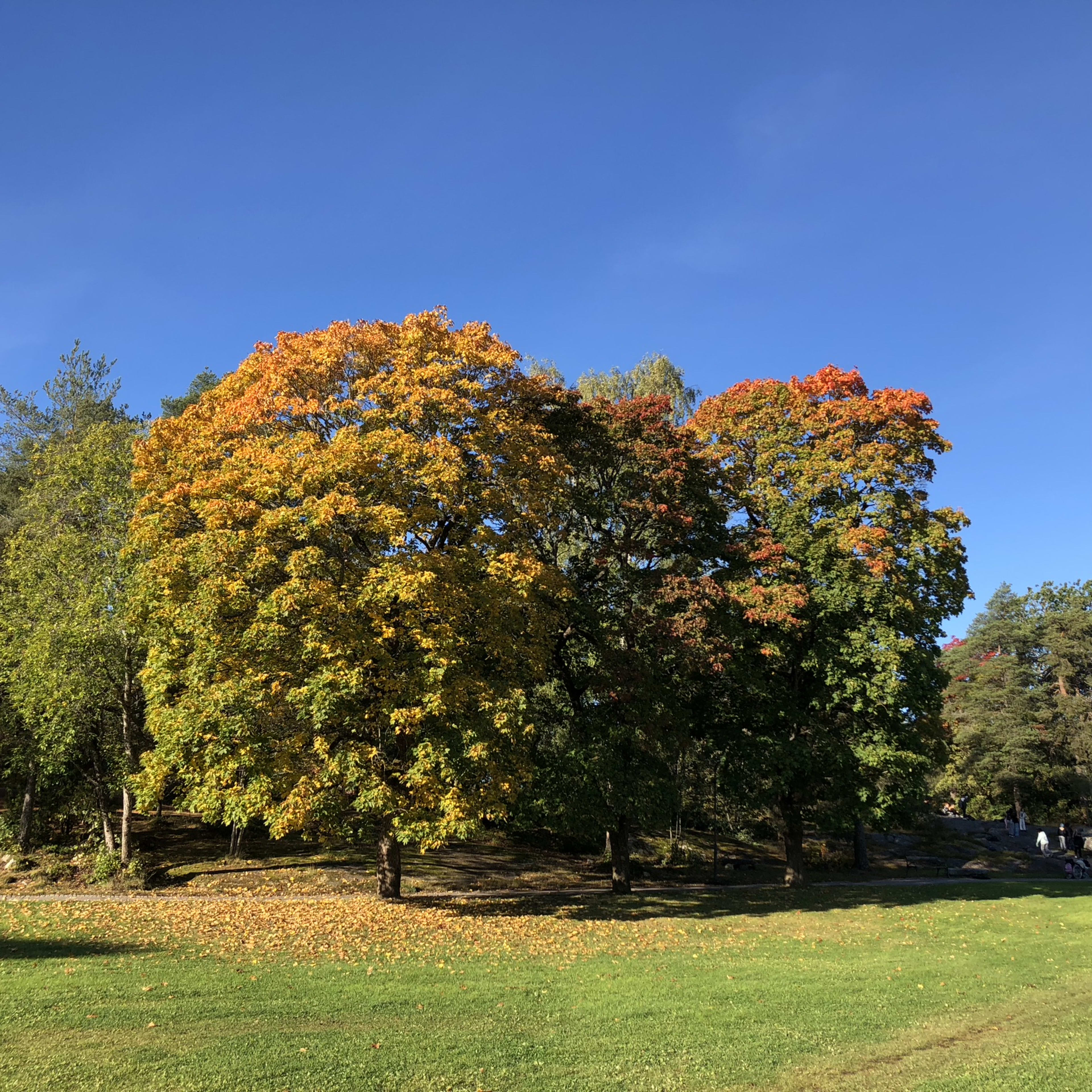One of Eric's images