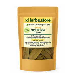Dried Soursop Leaves (Graviola, Annona muricata) – 100 Whole Leaves — on xHerbs Store Nigeria