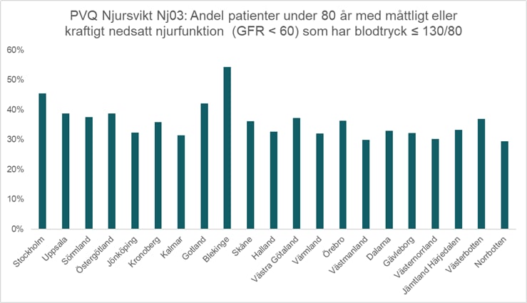 Primärvårdskvalitet Pvqnjur02