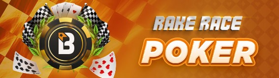 Rake Race
